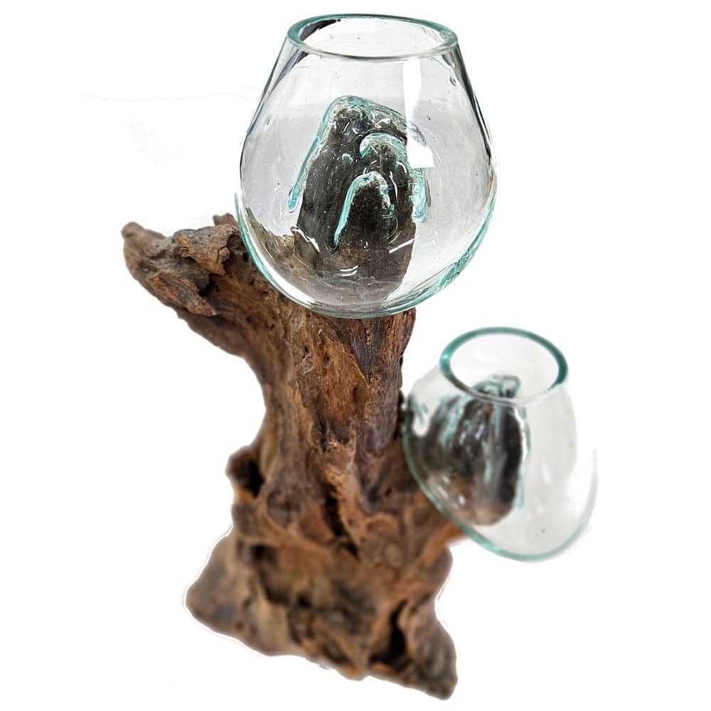 Dua Twin Bowls: Zweiteiliges Glas-Set auf natürlichem Wurzelholz, 46 cm
