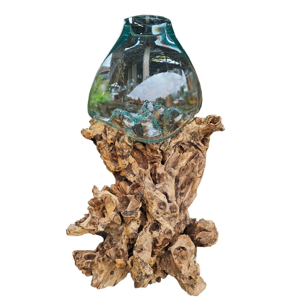 Senyum XXL Glasschale: Handgefertigtes Glas auf Naturwurzel, 90 cm Höhe