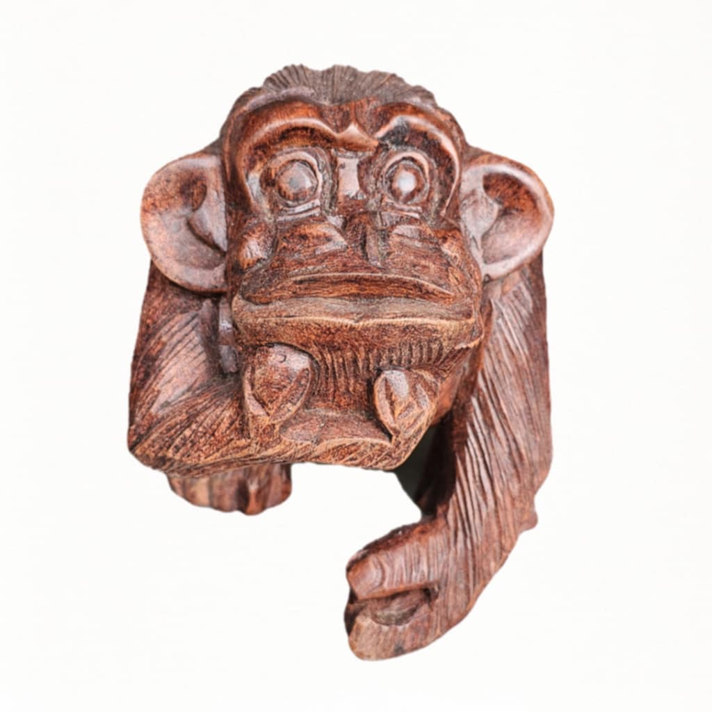 Tafsir Affe aus Suar Holz – Fein geschnitzte, nachdenkliche Figur, 20 cm